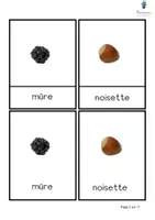 Aperçu - Matériel interactif - Cartes de nomenclature : les fruits - Page 2