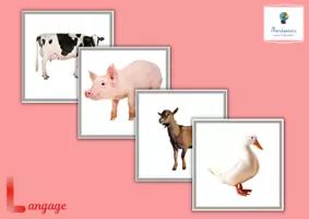 Aperçu - Cartes / Images - Images classifiées : animaux de la ferme - Page de couverture