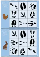 Vorschau - Spiele - LOTTO-Spuren im Schnee Vorschule/Klasse 1 - Seite 2