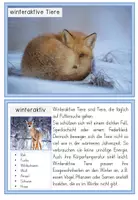 Vorschau - Arbeitsblätter - Tiere im Winter - Wissenskartei und Flipbook (Winterruhe, Winterschlaf, Winterstarre ..) - Seite 2