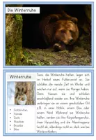 Vorschau - Arbeitsblätter - Tiere im Winter - Wissenskartei und Flipbook (Winterruhe, Winterschlaf, Winterstarre ..) - Seite 3