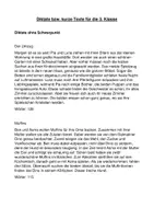 Vorschau - Text - Diktate bzw. kurze Texte für die 3. Klasse - Deckblatt
