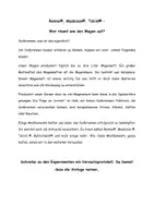 Vorschau - Arbeitsblätter - Medikamente gegen Sodbrennen unter der Lupe - Seite 1