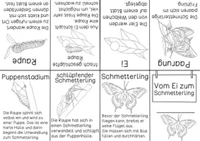 Vorschau - Stationenlernen - Vom Ei zum Schmetterling - Merkheft zum Falten ohne Kleben - Vorlage - Seite 2