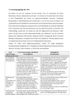 Vorschau - Stundenentwürfe - Unterrichtsentwurf zum Bilderbuch "Als die Raben noch bunt waren" - Seite 3