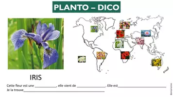 Aperçu - Autre type de ressources - Rituel plantes - Page de couverture