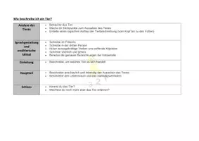 Vorschau - Arbeitsblätter - Tierbeschreibung - Erklärung, Erwartungshorizont, 1 Übung incl. Lösung "Beschreibe den Papagei" - Seite 1