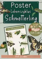 Vorschau - Poster - Poster Lebenszyklus des Schmetterlings - Entwicklung Schwalbenschwanz - Deckblatt