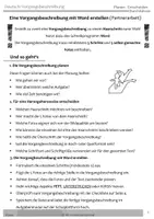 Vorschau - Klassenarbeiten - Vorgangsbeschreibung zu einem Haarschnitt erstellen - Seite 2