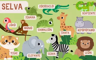 Vista previa - Tarjetas / Manipulativos - DONDE VIVEN LOS ANIMALES - página 1