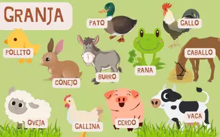 Vista previa - Tarjetas / Manipulativos - DONDE VIVEN LOS ANIMALES - página 3