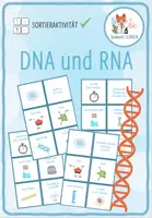 Vorschau - Spiele - DNA und RNA Vergleich - Zuordnungsaktivität - Deckblatt