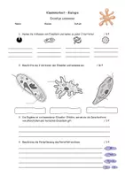 Vorschau - Test - Klassenarbeit Einzeller/ Einzellige Lebewesen - Deckblatt