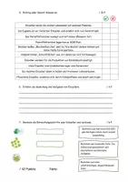 Vorschau - Test - Klassenarbeit Einzeller/ Einzellige Lebewesen - Seite 3