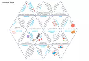Vorschau - Spiele - Zellmembran – Dreieck Domino Spiel - Seite 2