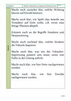 Vorschau - Arbeitsblätter - Rotkohlversuch - Aus welchen Nährstoffen bestehen Membranen? - Seite 2