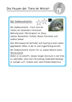 Vorschau - Unterrichtsreihen - Winter Werkstatt - Was passiert im Winter? - Seite 3