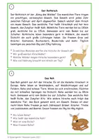 Vorschau - Unterrichtsreihen - Leseverstehen - tägliche Übung: Tiere des Waldes Kl. 3/4 - Seite 3