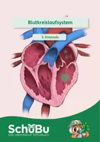 Vorschau - Spiele - Das Blutkreislaufsystem (interaktiv) - Deckblatt