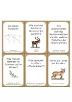 Vorschau - Arbeitsblätter - Das Rentier - Quiz - Seite 3