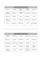 Vorschau - Spiele - Geschichte-Bingo: Erster Weltkrieg - Seite 1