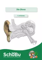 Vorschau - Experimente - Die Ohren (interaktiv) - Deckblatt