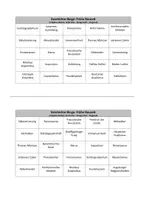 Vorschau - Spiele - Geschichte-Bingo: Frühe Neuzeit - Seite 2
