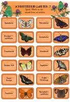 Vorschau - Spiele - Schmetterlingsarten 2 - Merk es dir Spiel - Deckblatt