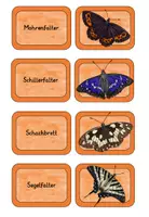 Vorschau - Spiele - Schmetterlingsarten 2 - Merk es dir Spiel - Seite 3