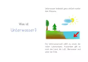 Vorschau - Unterrichtsreihen - Wer lebt wo Unterwasser? Sachunterrichtsreihe, Dossier, 1. Klasse, 2. Klasse - Seite 2
