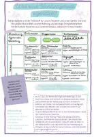 Vorschau - Arbeitsblätter - AB Was sind Kohlenhydrate - Deckblatt