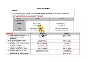 Vorschau - Arbeitsblätter - Adjektive (adjectifs) - Erklärung, 7 Übungen incl. Lösung - Seite 2