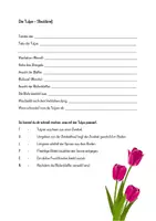 Vorschau - Arbeitsblätter - Die Tulpe - Steckbrief und Arbeitsblatt - Seite 2