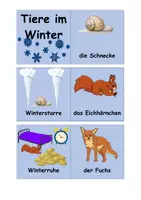 Vorschau - Spiele - Wie überwintern heimische Tiere_Spielepaket - Seite 3