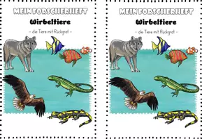 Vorschau - Arbeitsblätter - Forscherheft Wirbeltiere I Wirbeltierklassen I 5 Klassen - Seite 1
