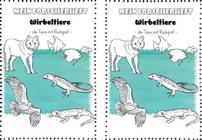 Vorschau - Arbeitsblätter - Forscherheft Wirbeltiere I Wirbeltierklassen I 5 Klassen - Seite 2