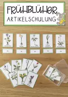 Vorschau - Unterrichtsreihen - Frühling - Artikelschulung Frühlingsblumen - Deckblatt