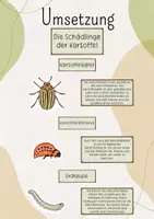 Vorschau - Präsentationen/Tafelbilder - Tafelbild: Die Schädlinge der Kartoffel - Seite 3
