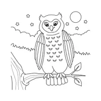 Aperçu - Jeux - Animaux de la Forêt - Livre de coloriages +60 illustrations - Page 3