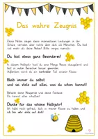 Vorschau - Anderer Materialtyp - Das wahre Zeugnis Version Biene Bienenklasse Bienenstock #edukiferiensale23 - Seite 1
