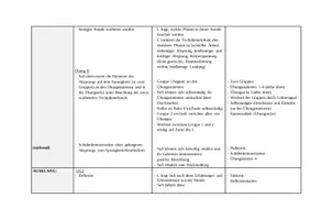 Vorschau - Stundenentwürfe - Unterrichtsentwurf: Absprung auf dem Sprungbrett - Seite 2