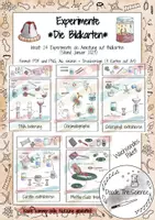 Vorschau - Stationenlernen - Materialpaket: *Experimente* Sammlung im Sketchnote-Stil - Seite 1