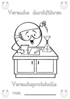 Vorschau - Stundenentwürfe - Versuche zum Magnetismus - Protokollbögen, Visualisierung, Checkliste - Seite 3