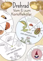 Vorschau - Stundenentwürfe - Drehrad: Vom Ei zum Kartoffelkäfer/ Die Entwicklung des Kartoffelkäfers - Deckblatt