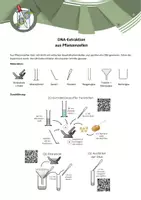 Vorschau - Experimente - Versuchsanleitung - DNA-Extraktion (B9) - Deckblatt