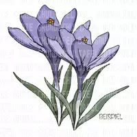 Vorschau - selbst erstellte Cliparts/Grafiken - Cliparts Frühblüher FARBIG Clipart Set - Seite 1