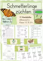 Vorschau - Arbeitsblätter - Schmetterlinge züchten (Distelfalter) - Lerntheke mit Lösung - Deckblatt