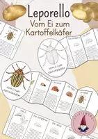 Vorschau - Stundenentwürfe - Leporello: Vom Ei zum Kartoffelkäfer/ Die Entwicklung des Kartoffelkäfers - Deckblatt