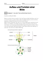 Vorschau - Arbeitsblätter - Aufbau einer Blüte - Infotext, Arbeitsblätter und Vorlagen - Deckblatt