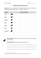 Vorschau - Arbeitsblätter - Nutztiere - Einstiegsmaterial - Seite 2